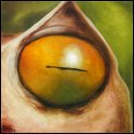 Augenblick eines Beutelfrosches; Acryl auf Leinwand;
30 x 30 cm